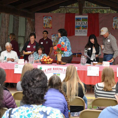 Apple Pie Baking Contest 2013